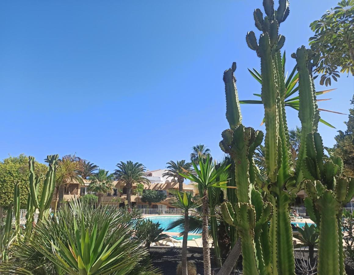 Appartement Elrincondesara à Corralejo Extérieur photo